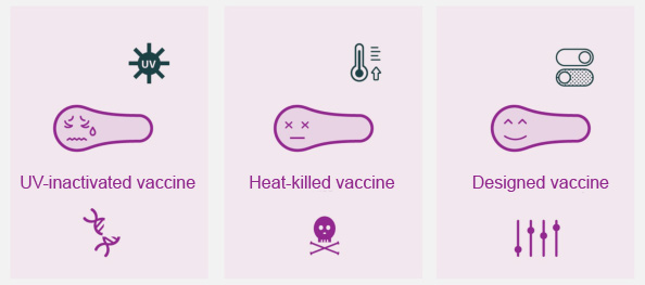 Traditional and novel forms of vaccines. 
