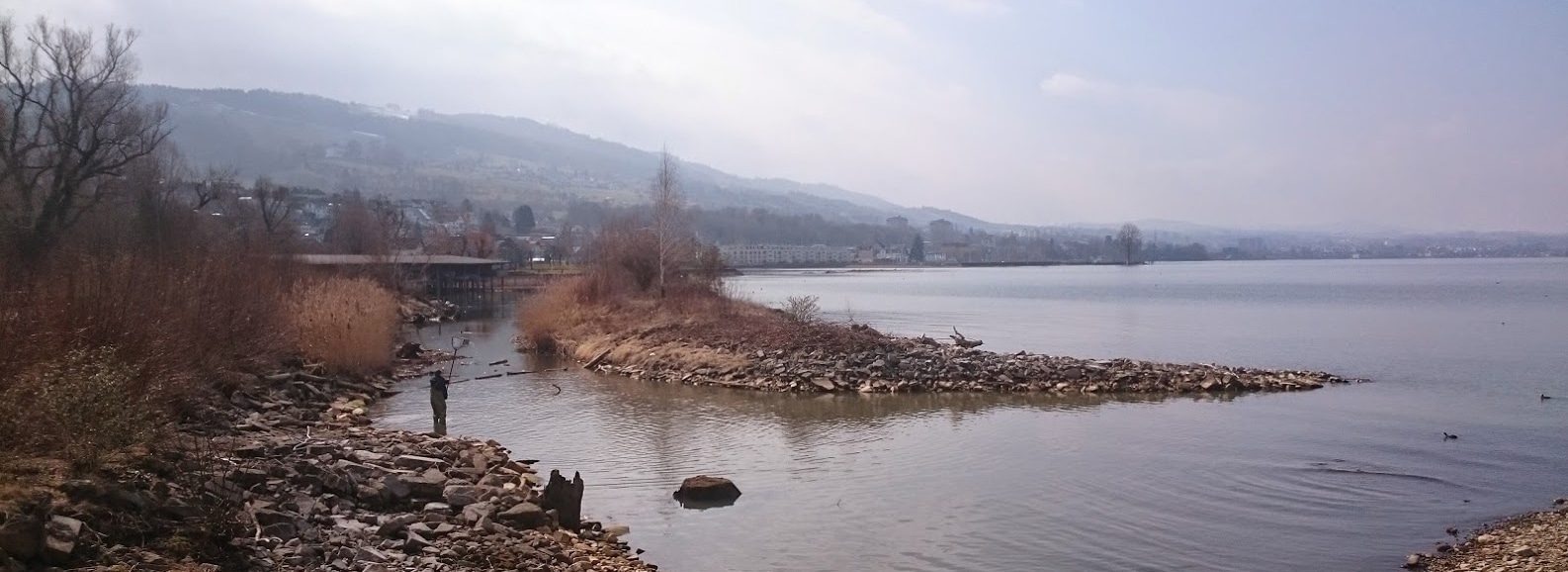Lake Constance shoreline