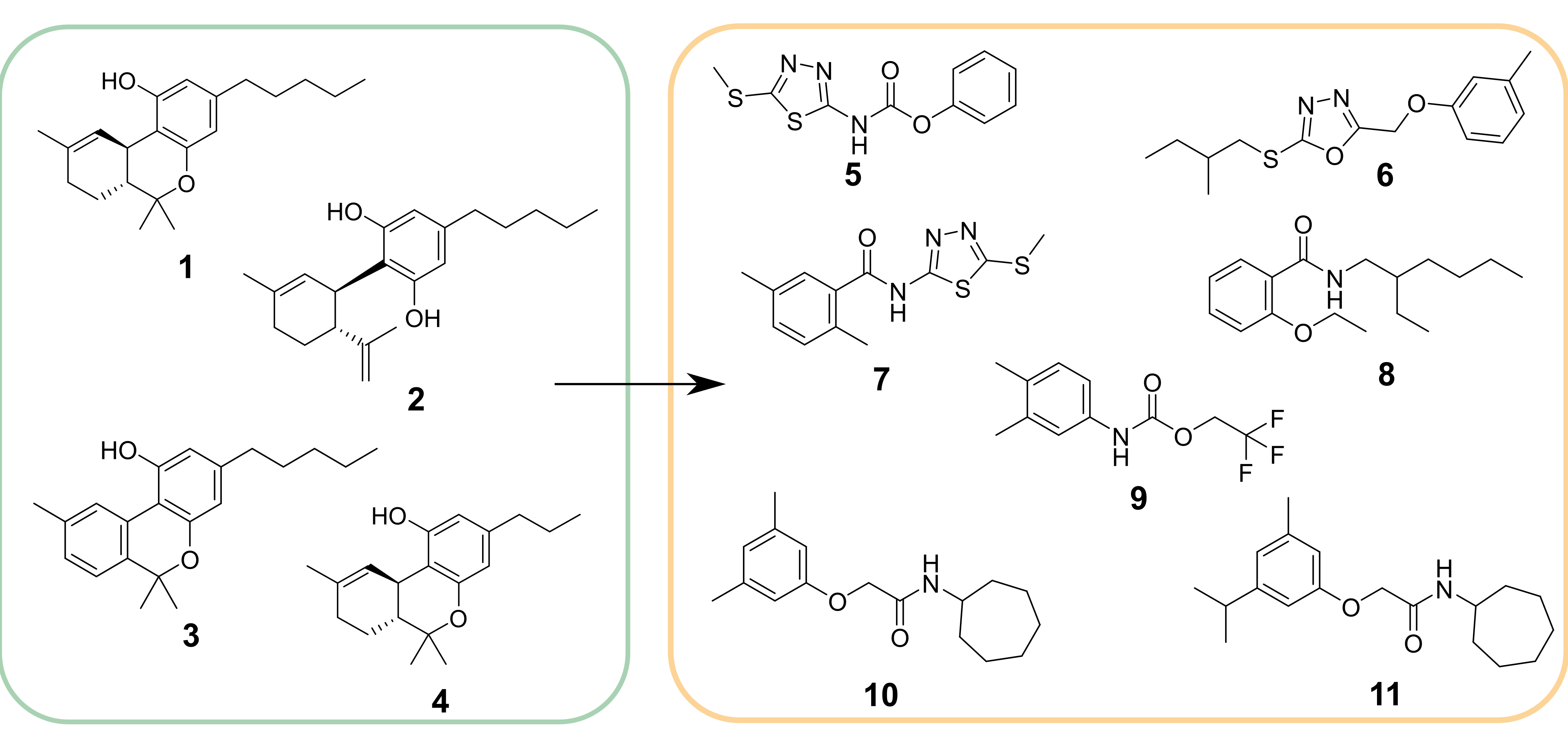 Novel synthetic mimetics