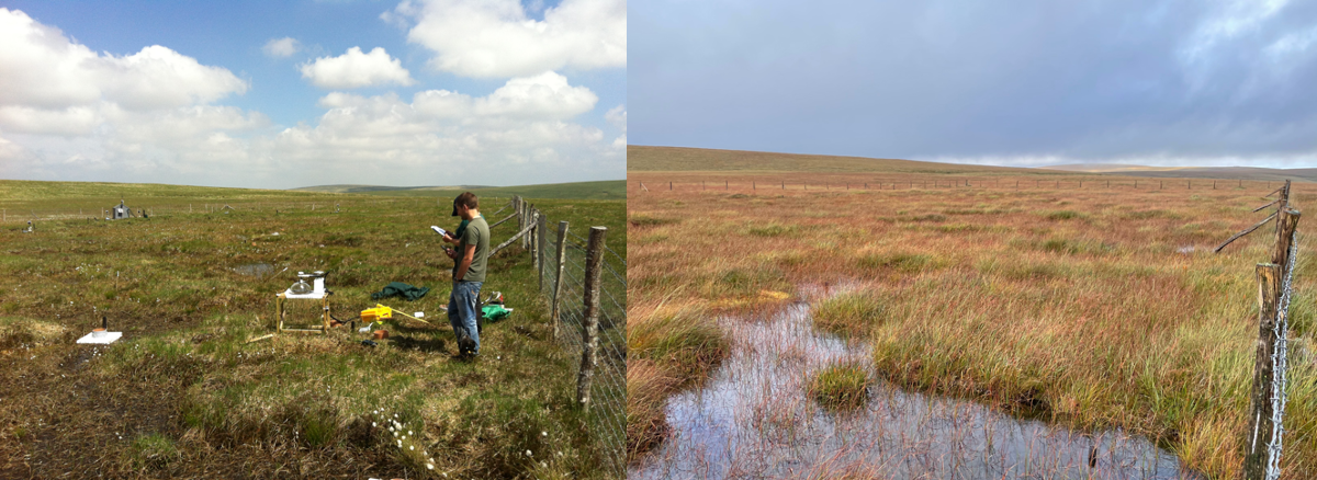 Side by side images showing the difference between before and after restoration. Where changes in vegetation, such as an increase in Sphagnum and Bog Cotton grass is visible.