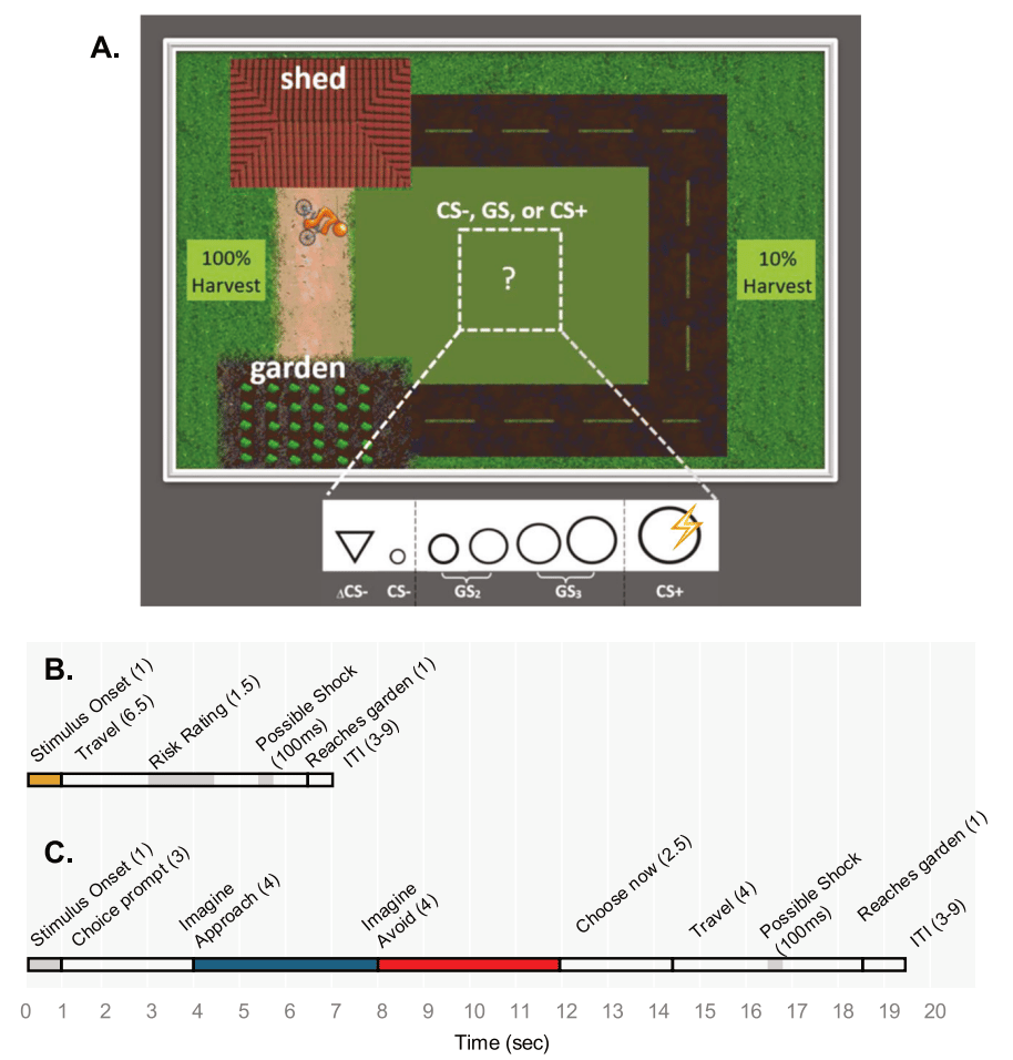 The behavioral task used in the study