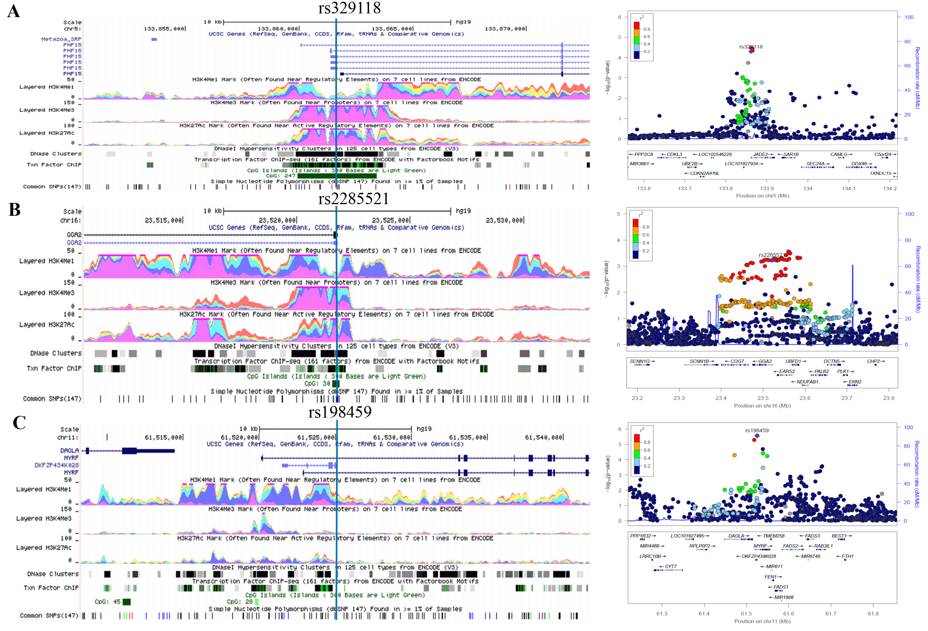 Association results and functional prediction of lung cancer risk-associated potential splicing SNPs.