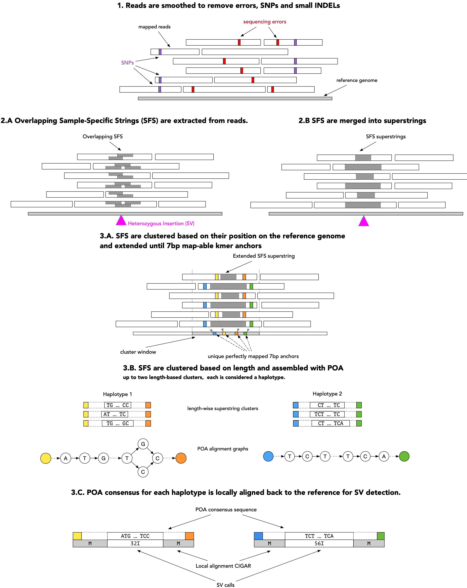 Overview of SVDSS.
