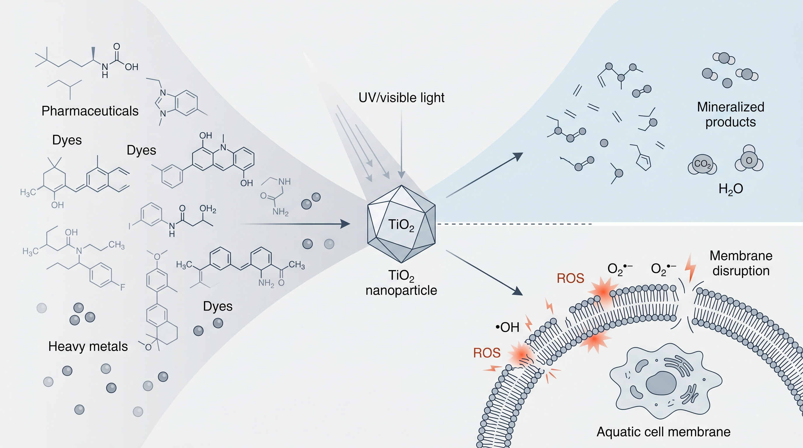 A conceptual graph showing the mechanistic duality map of nanoremediation, illustrating the trade-off between remediation efficiency and toxicity endpoints for materials like TiO2, nZVI, and ZnO, and highlighting the goal of Safe-and-Sustainable-by-Design (SSbD) to decouple efficacy from hazard.