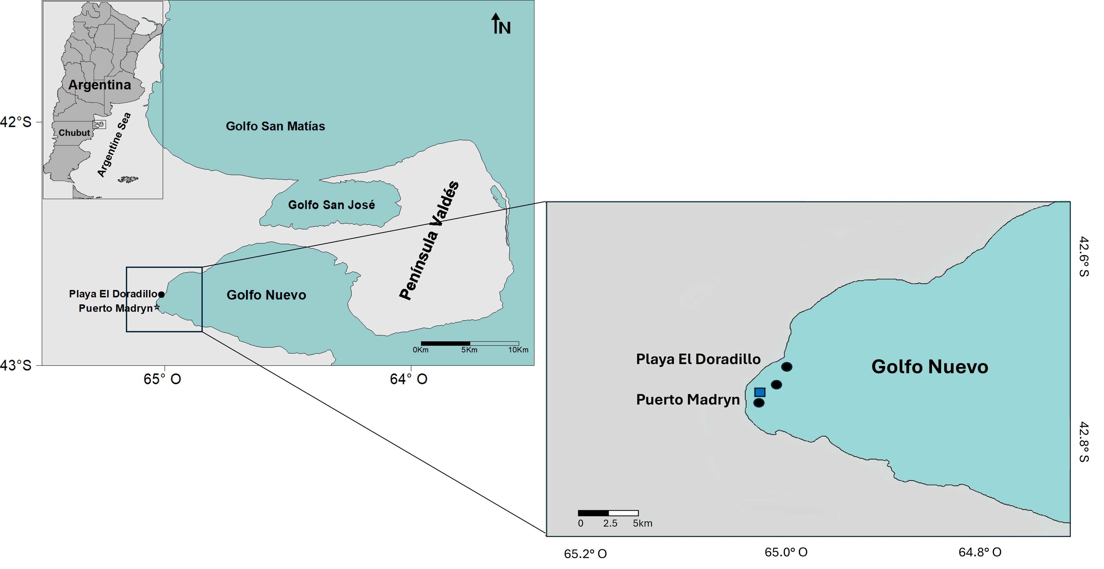 Study area showing the location of the mass stranding of short-beaked common dolphins (Delphinus delphis) at Playa El Doradillo, Golfo Nuevo, Península Valdés, and the sampling sites for phytoplankton and mesozooplankton (black circles) as well as for Engraulis anchoita specimens (blue square).