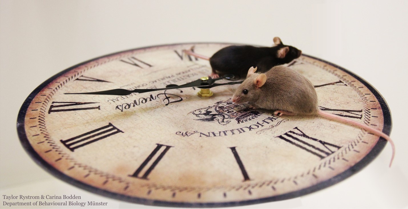 Photo by Taylor Rystrom & Carina Bodden