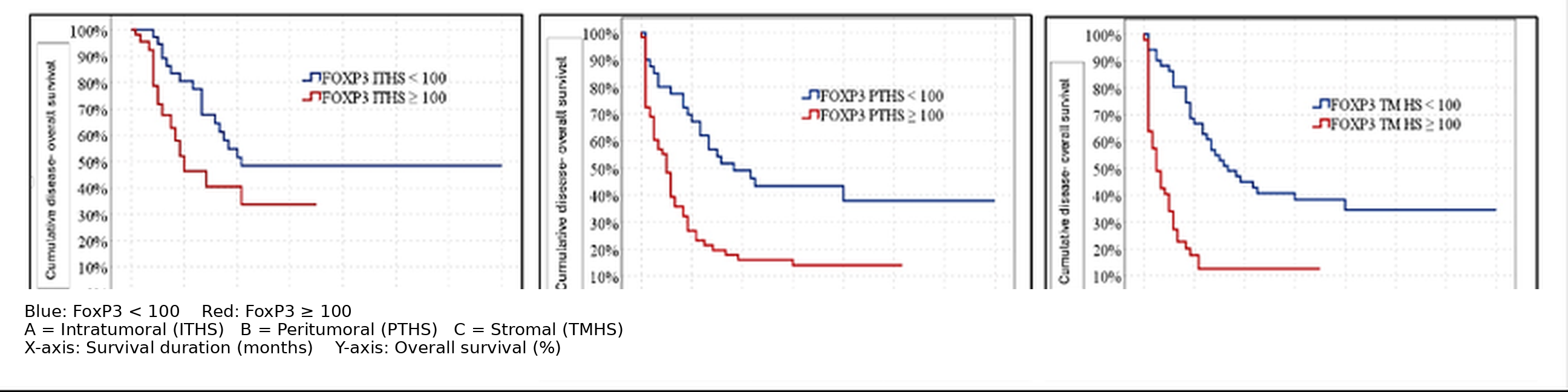 Kaplan–Meier overall survival curves demonstrating worse survival in pancreatic ductal adenocarcinoma patients with high FoxP3 expression compared with low FoxP3 expression across stromal, peritumoral, and intratumoral compartments.