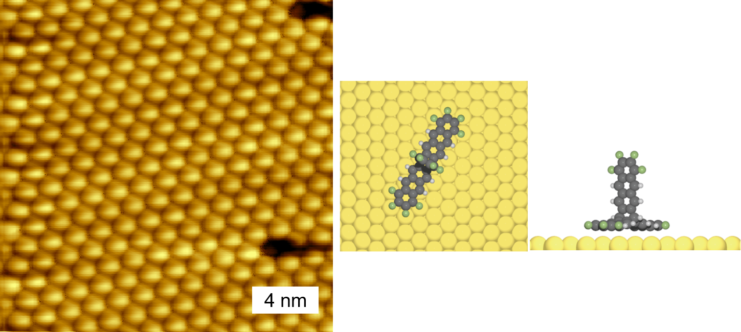 STM image of a fantrip monolayer on Au(111); the observed adsorption geometry with two anthracene blades flat is inappropriate for photopolymerization