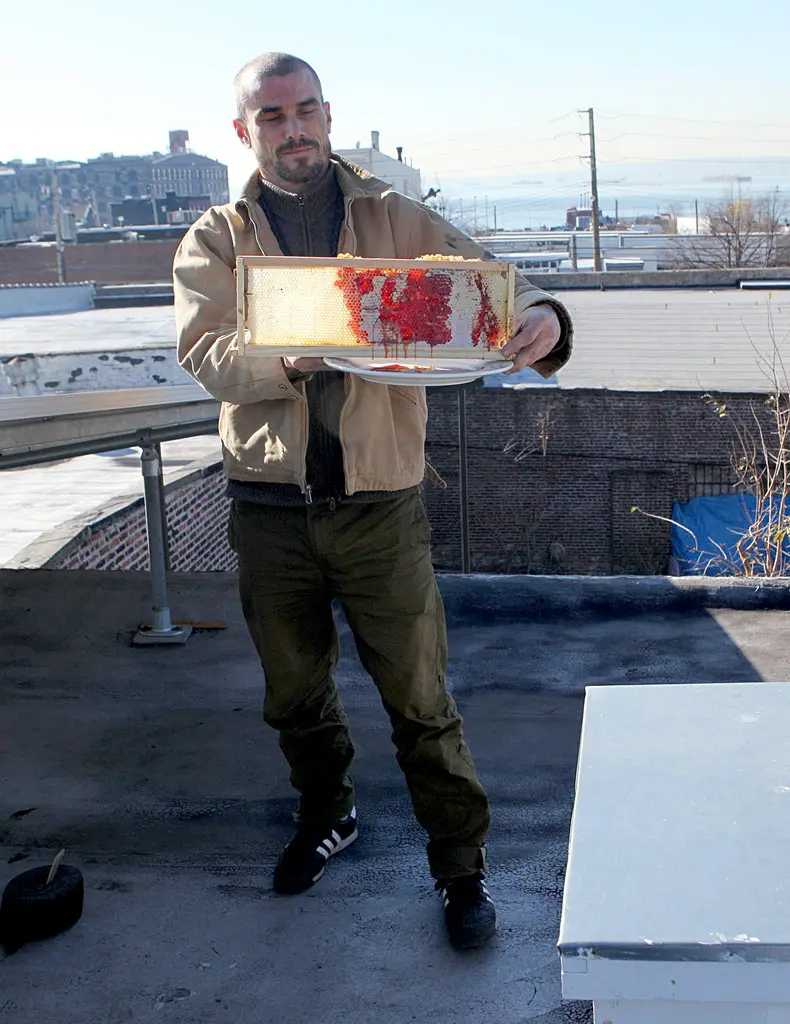 A man is standing on a New York City rooftop. He is holding a frame from inside a beehive, which is covered in a dripping red liquid. 