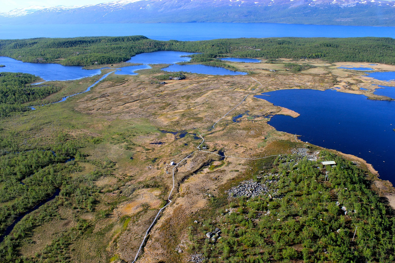Aerial view of Stordalen Mire during the summer, showing the boardwalk infrastructure and the mosaic of habitats; photo credit Scott Saleska. 