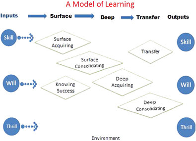 The model of learning proposed by Hattie and Donaghue