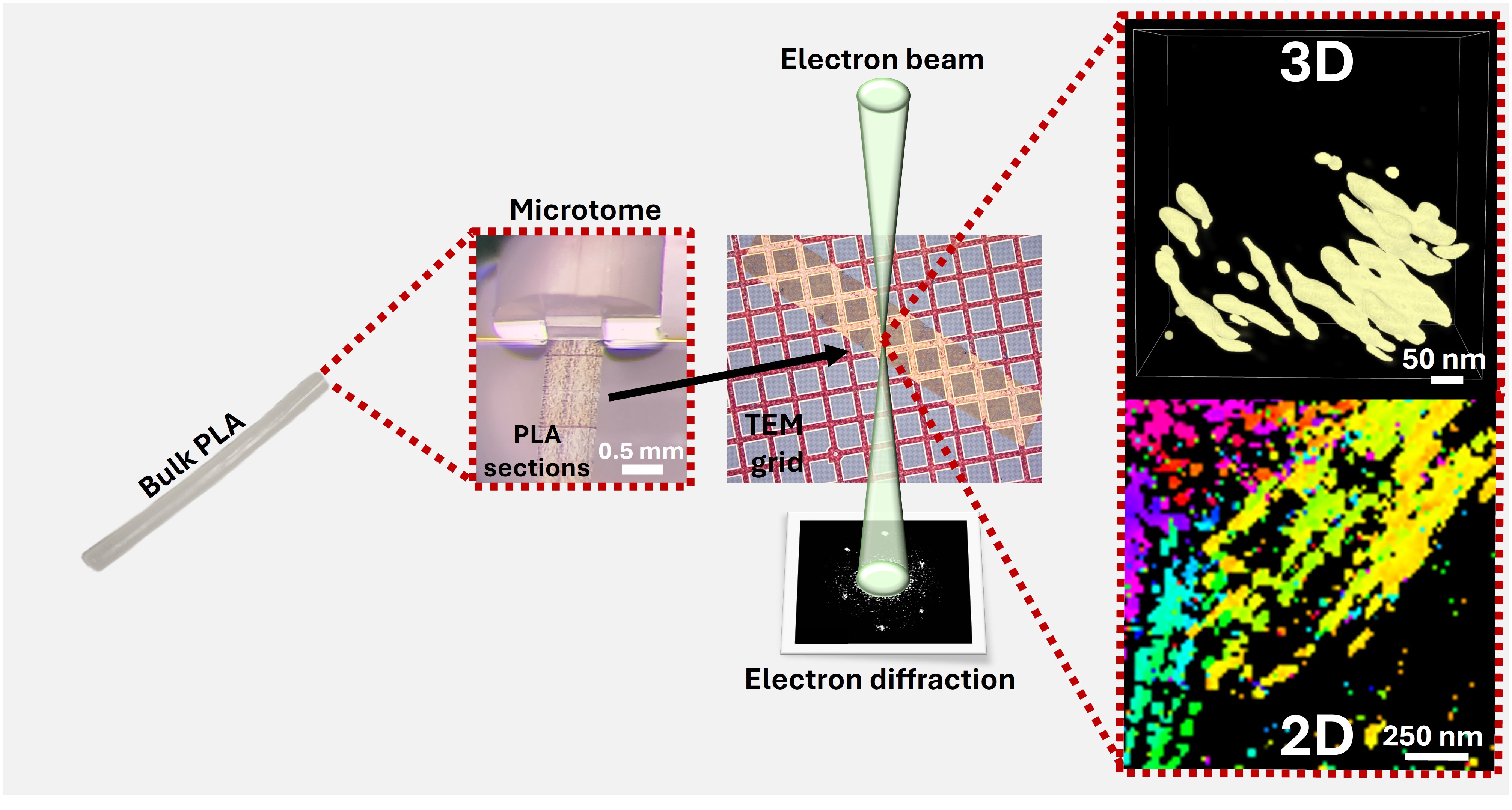 Fig. 1 Present Visualizes the preparation of thin sections from the bulk PLA using a microtome. These thin sections are then transferred to a TEM grid for analysis by 4D-STEM. Finally, the collected diffraction patterns are processed computationally to obtain the 2D and 3D images.