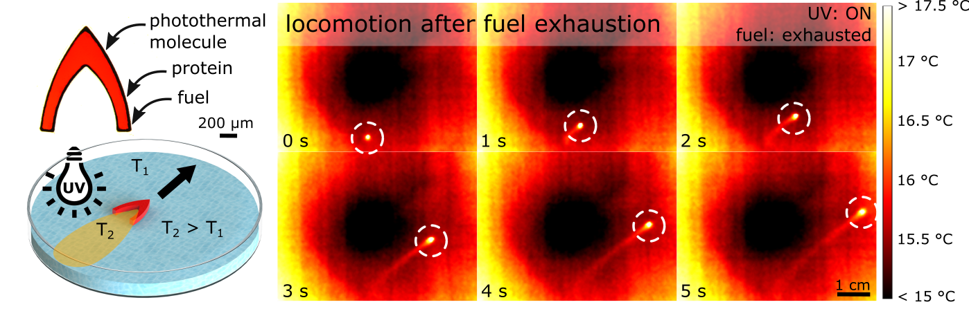 Locomotion after fuel exhaustion