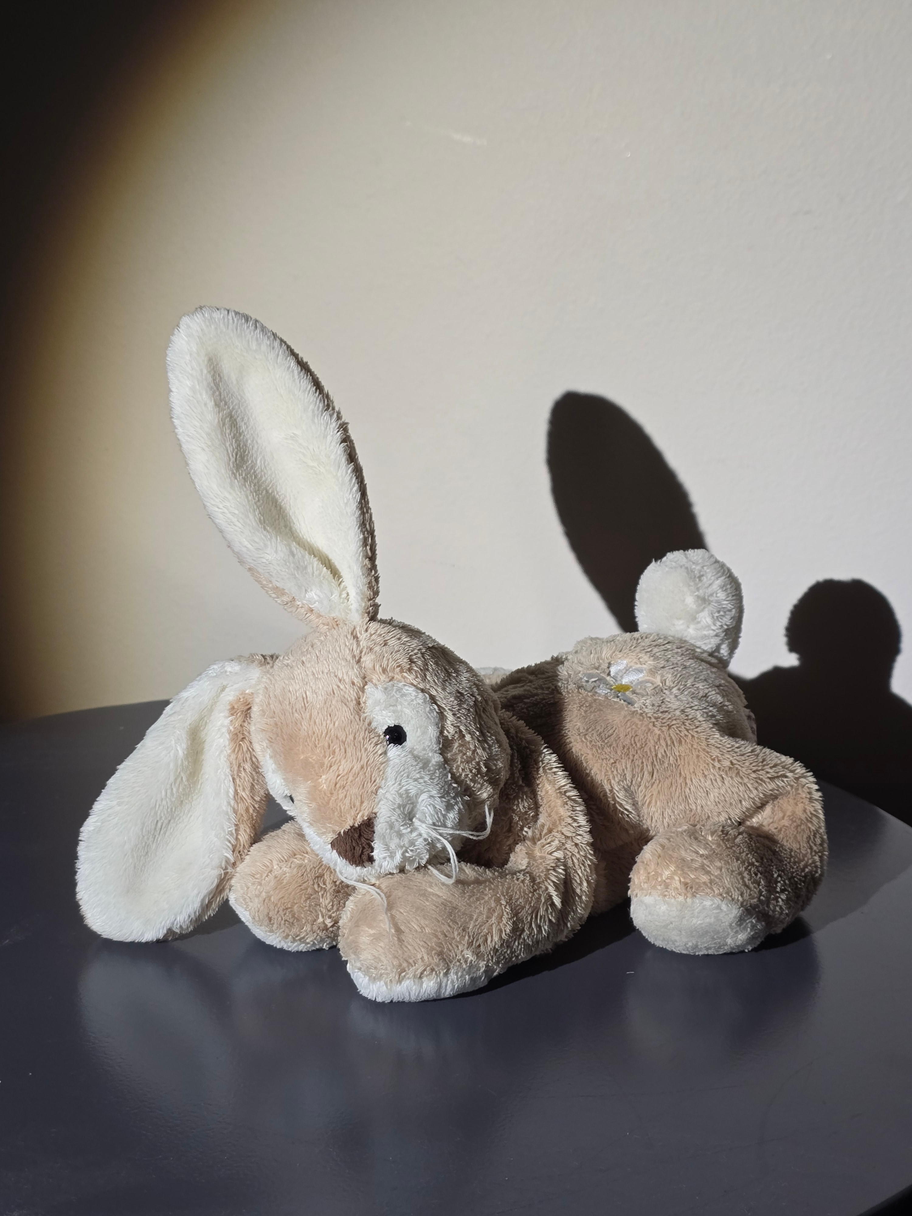 A stuffed rabbit from my childhood, identifiable by the daisy embroidered on its thigh.