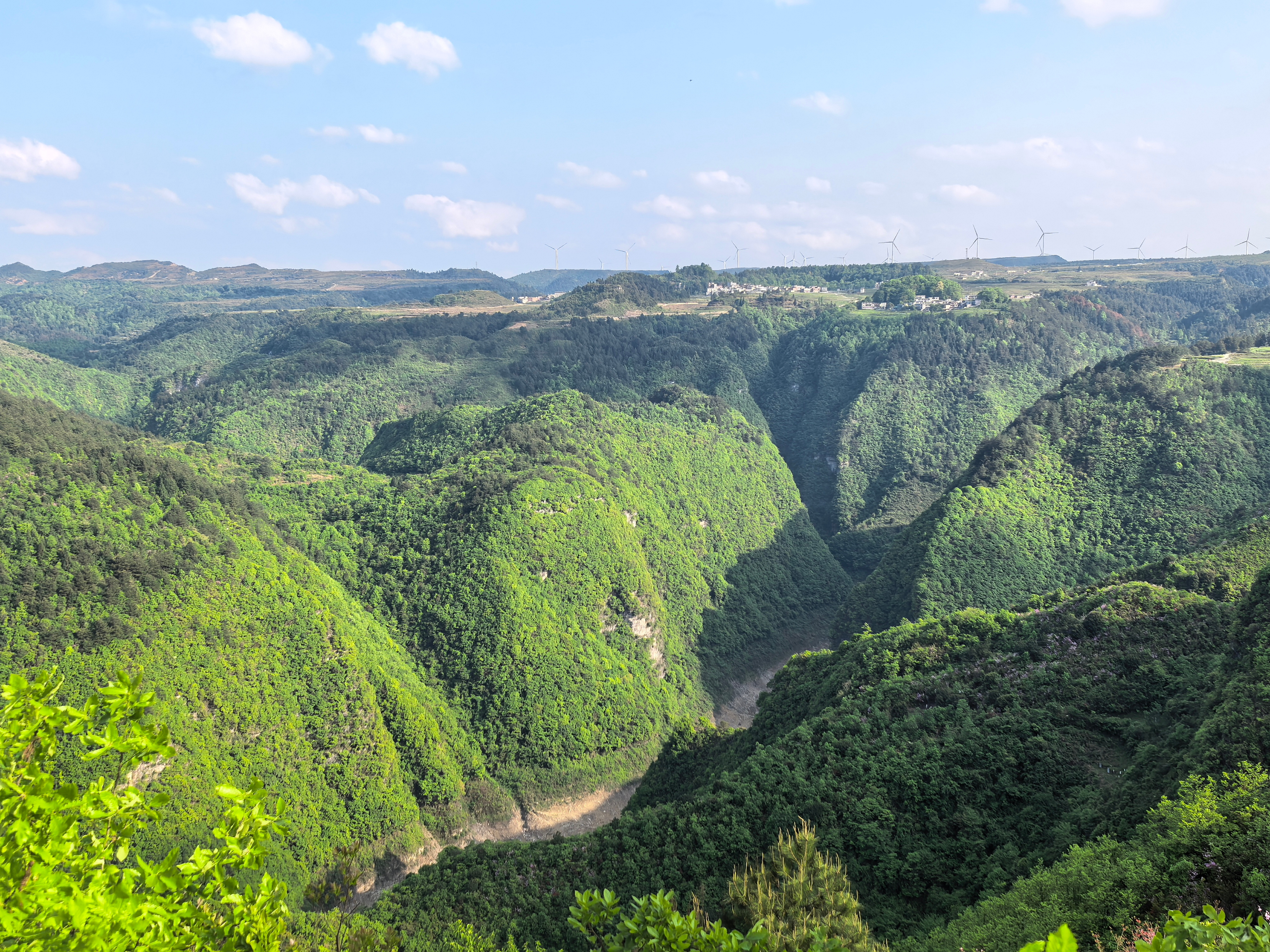 Forest ecosystem of southern China (Photographer: Zhongyu Du)