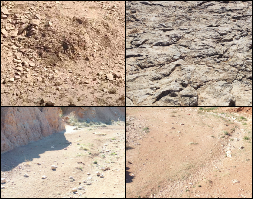 Different terrain types encountered during the data collection