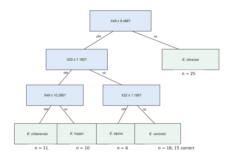 A decision tree using three morphological characters (X49, X20, and X32) to classify five operational Euterpnosia reference classes; blue boxes show threshold-based decision nodes and green boxes show terminal classifications.