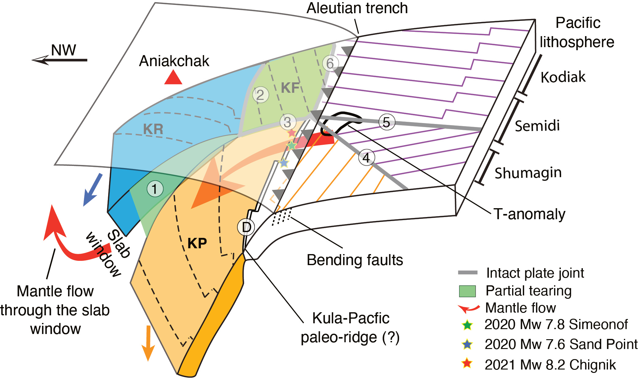 Summary cartoon of the findings