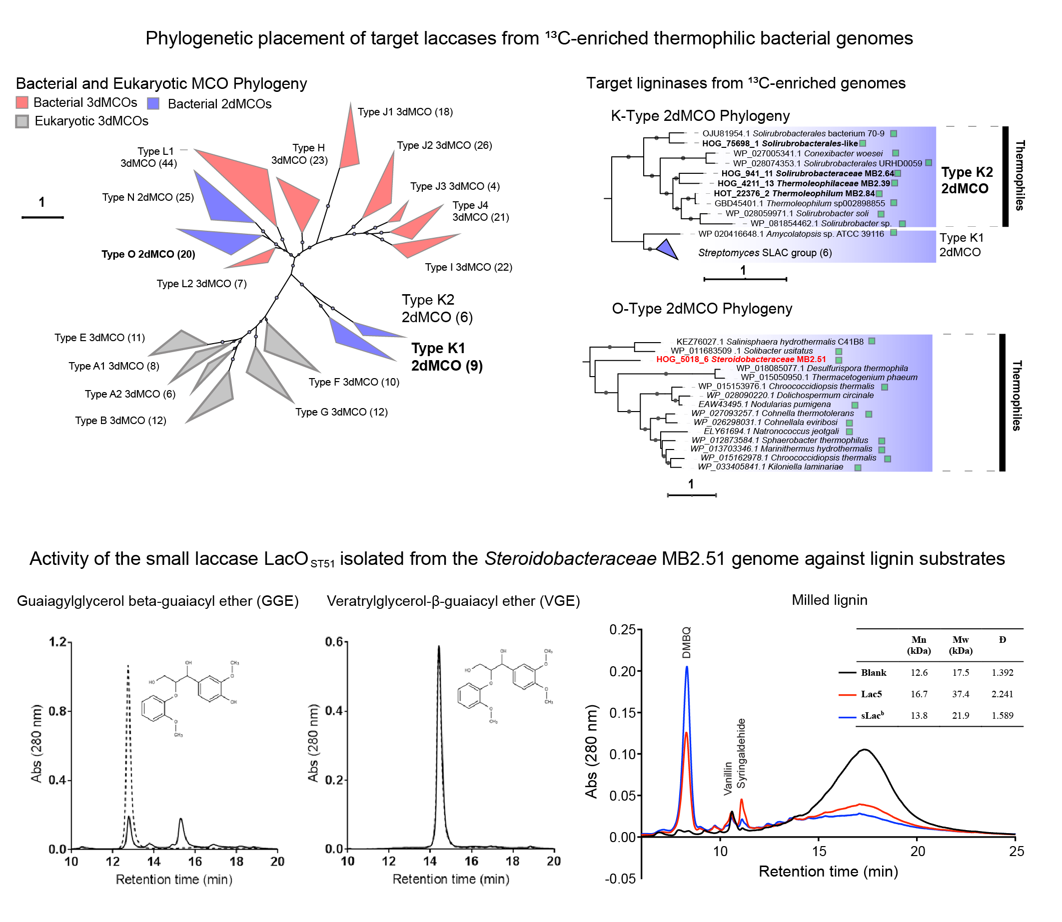 Laccase discovery