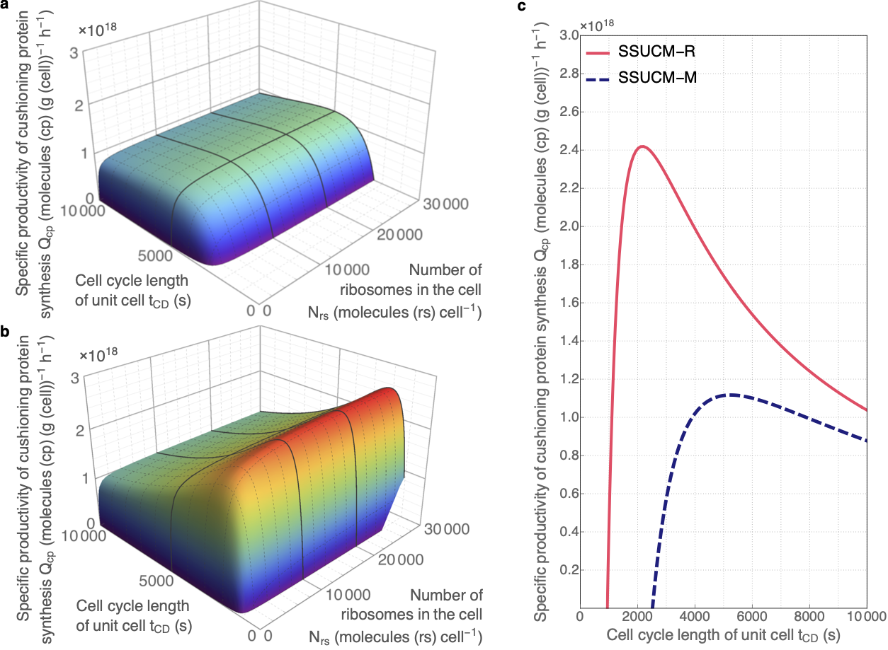 3D and 2D graphs showing cushioning protein synthesis productivity values for two cell models.