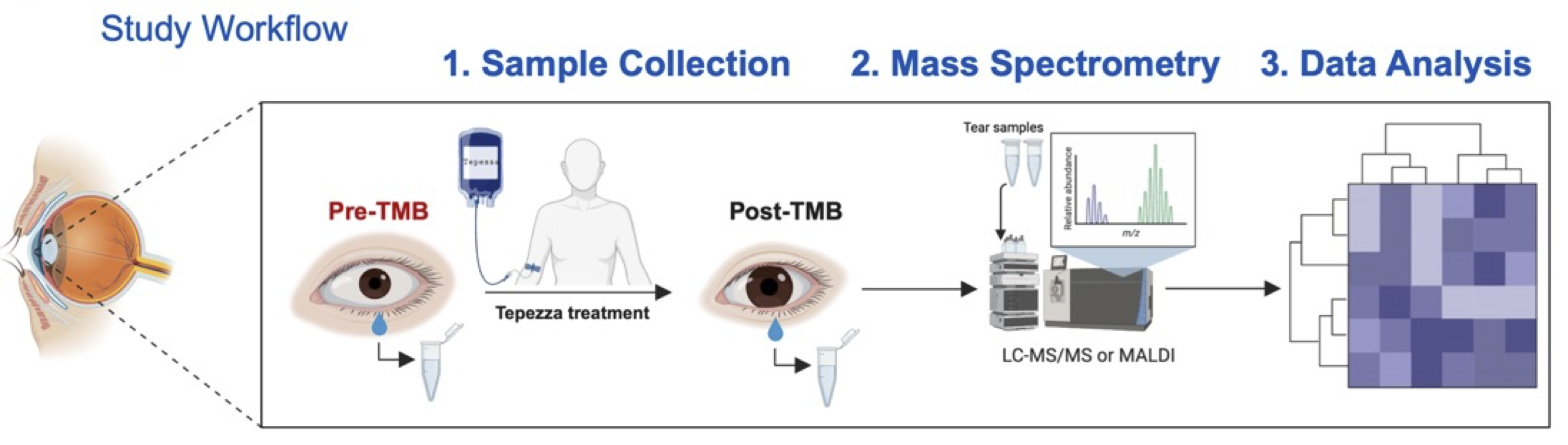 Workflow for tears Proteomics