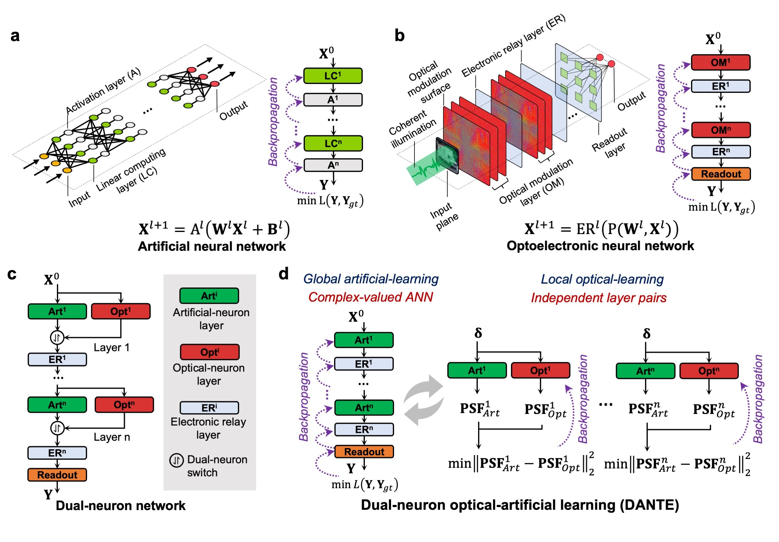 Principle of dual-neuron optical-artificial learning (DANTE)