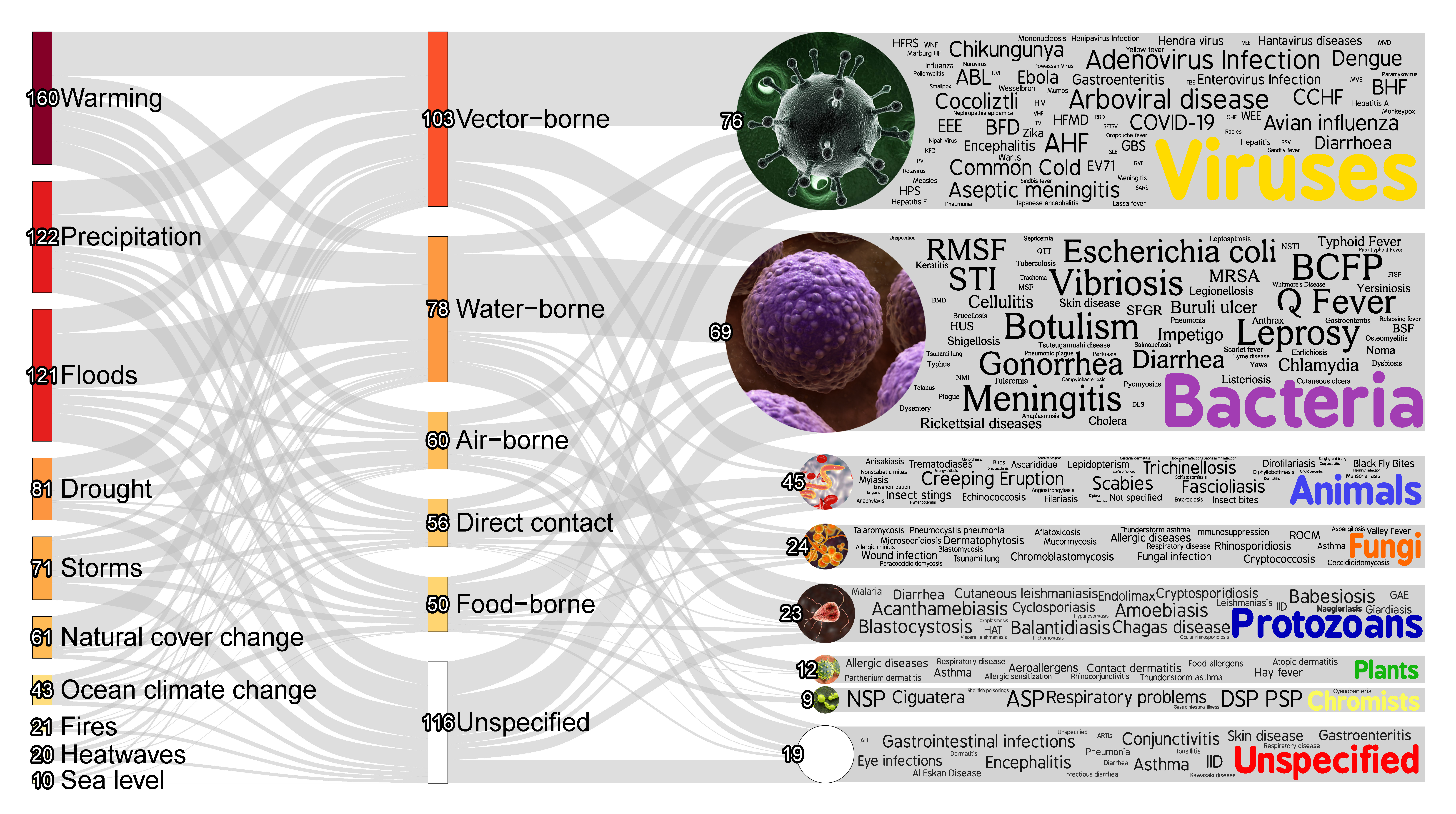 Climatic hazards and transmission pathways for diseases aggravated by climate change. 