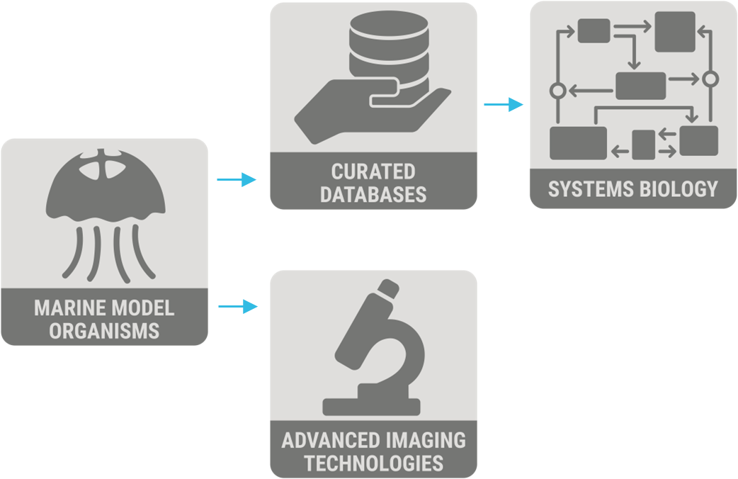 Example pathways with multiple life science RIs. 