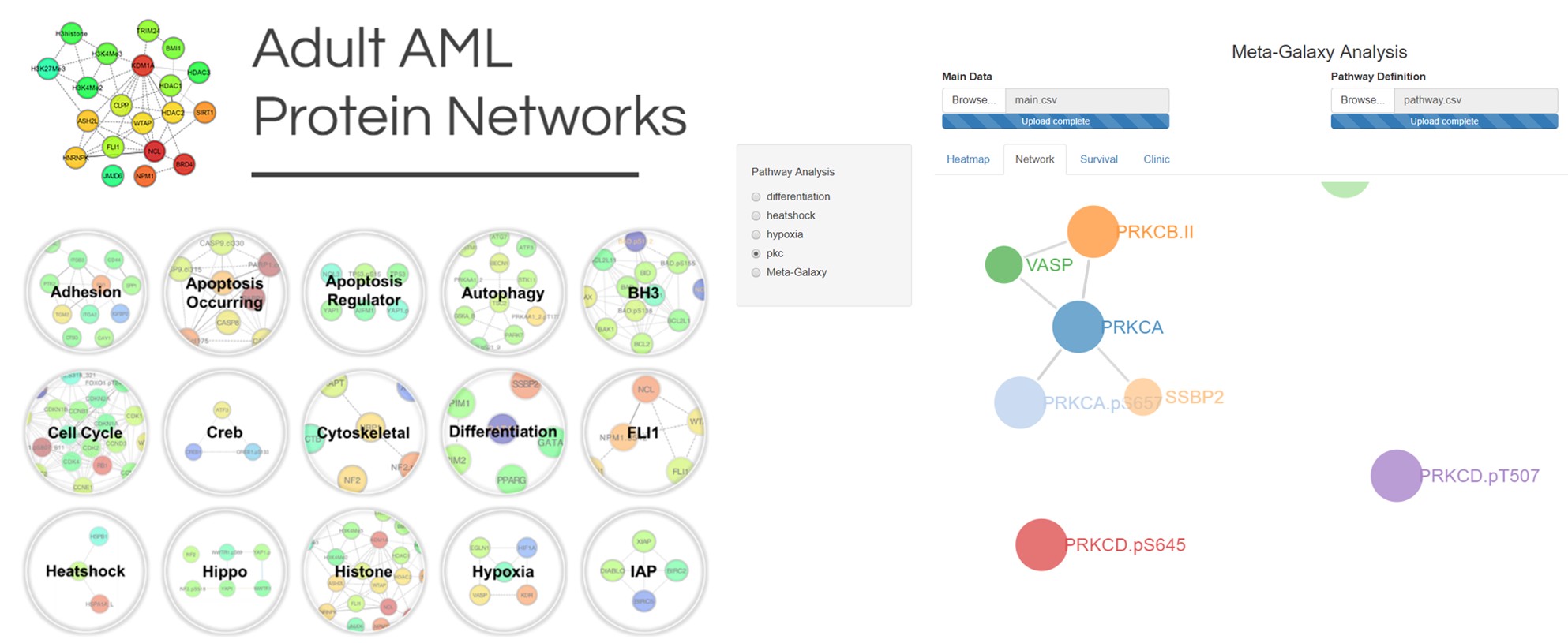 Leukemia Proteome Atlas