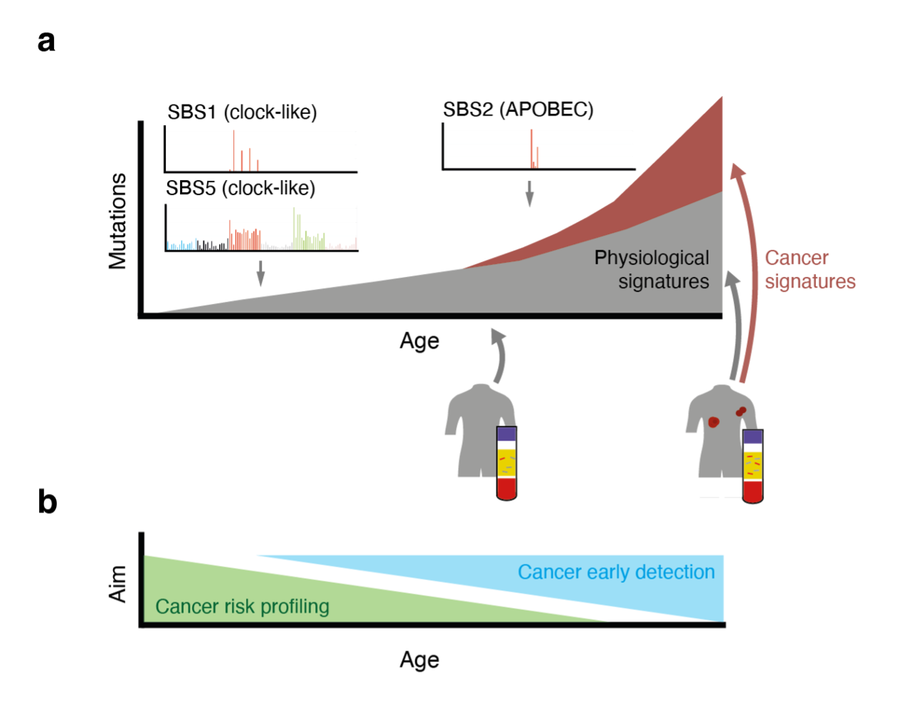 Figure 1. Circulating mutational signatures.