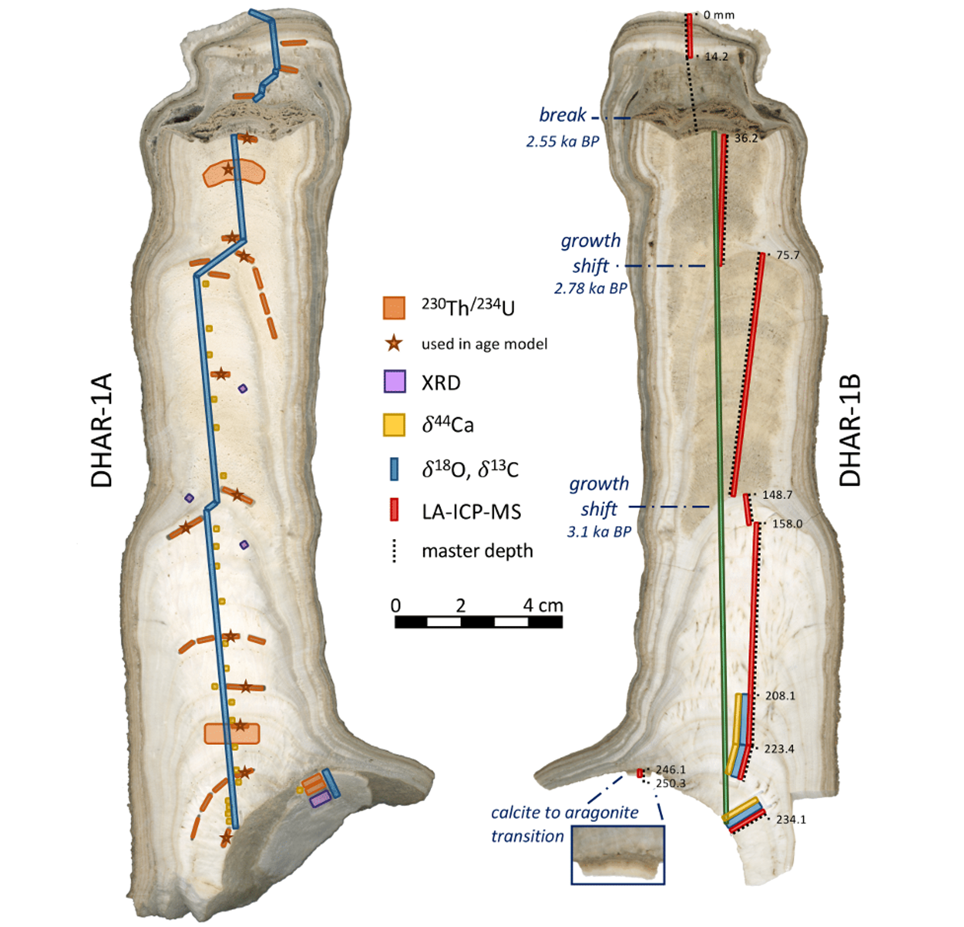 Orange areas represent areas sampled for U-Th dating, purple represents mineralogy analysis using XRD, yellow represents calcium isotope measurements, blue lines show where oxygen and carbon isotopes were milled, red lines show the tracks followed for trace element analysis by laser ablation, and the green line represents the track followed for XRF scanner measurements. Figure by Alena Giesche, reproduced from Giesche et al., 2023 (Supplementary Material).