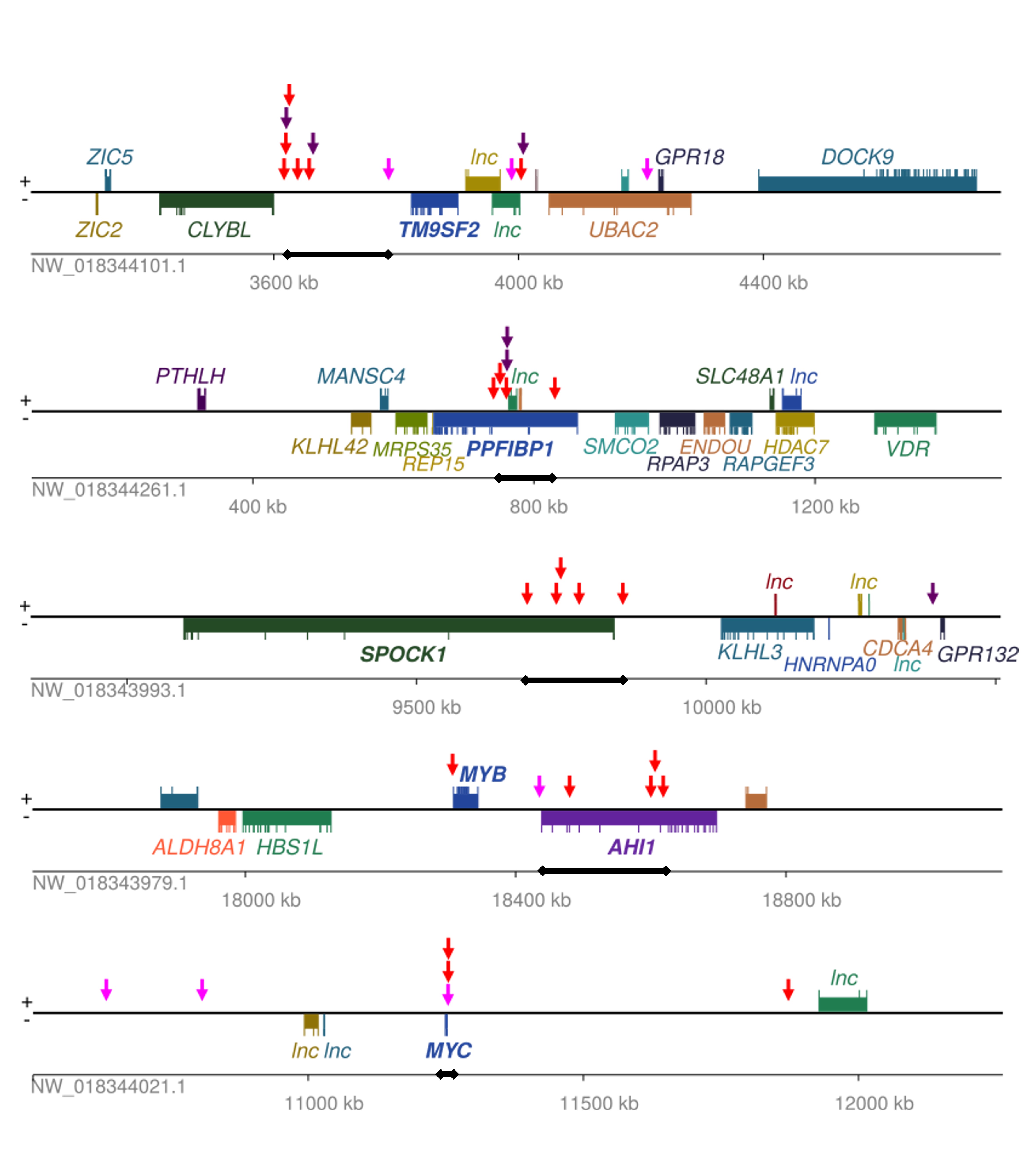 Hotspots of integration