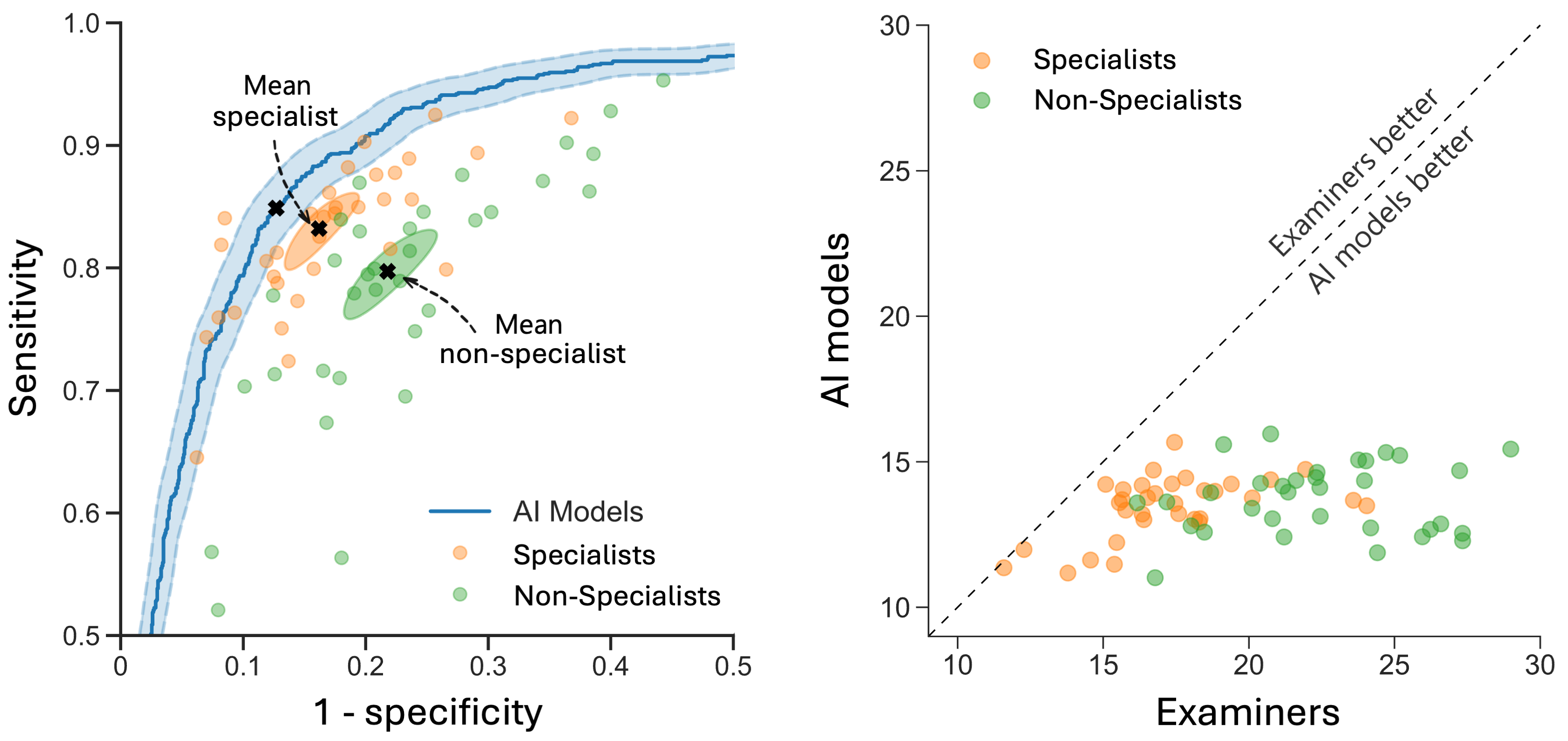 Two graphs comparing the performance of AI models with specialists and non-specialists in diagnosing ovarian tumors. The left graph is an ROC curve showing sensitivity vs. 1-specificity for AI models, specialists, and non-specialists, with marked mean performance for specialists and non-specialists. The right graph compares the number of correct predictions by AI models and human examiners, with a dashed diagonal indicating parity between them.