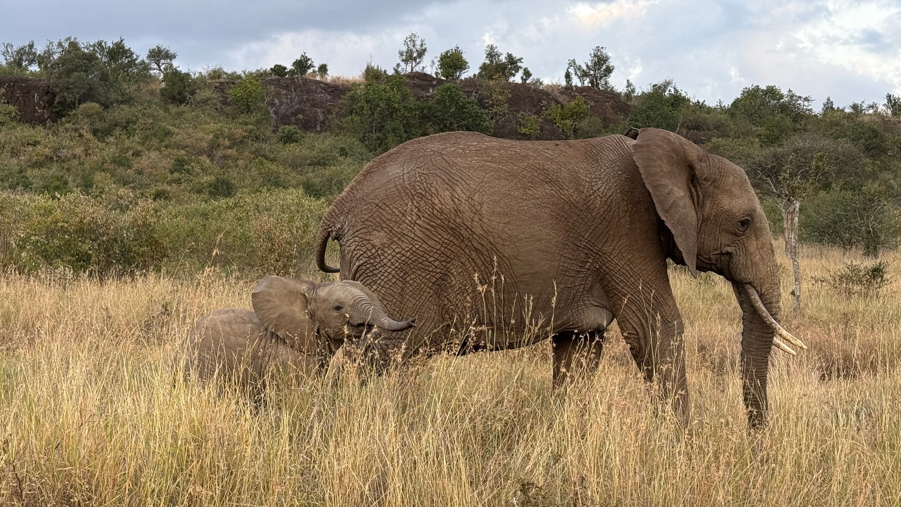 baby & mum 