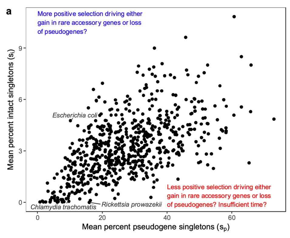 Coloured text indicates possible explanations for why points might be at those extremes. Originally Figure 3a in our bioRxiv preprint.