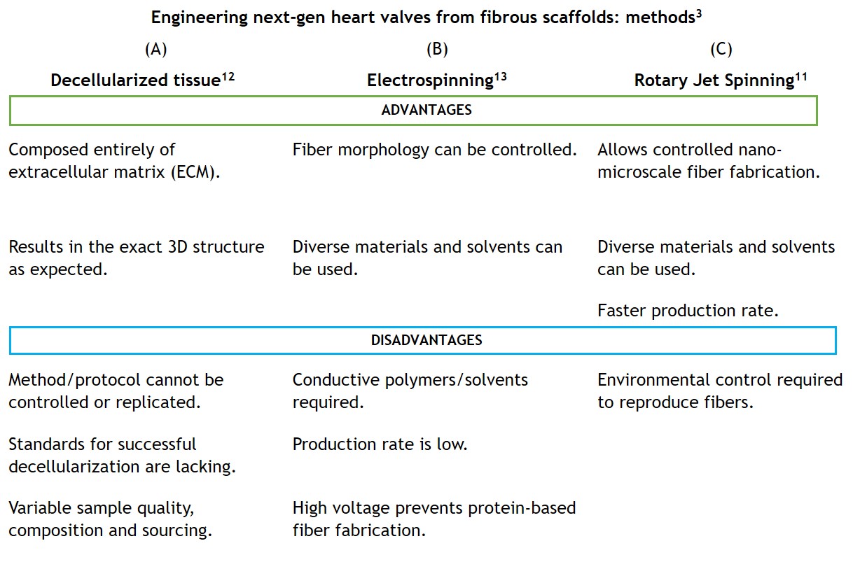 Scaffold fabrication techniques