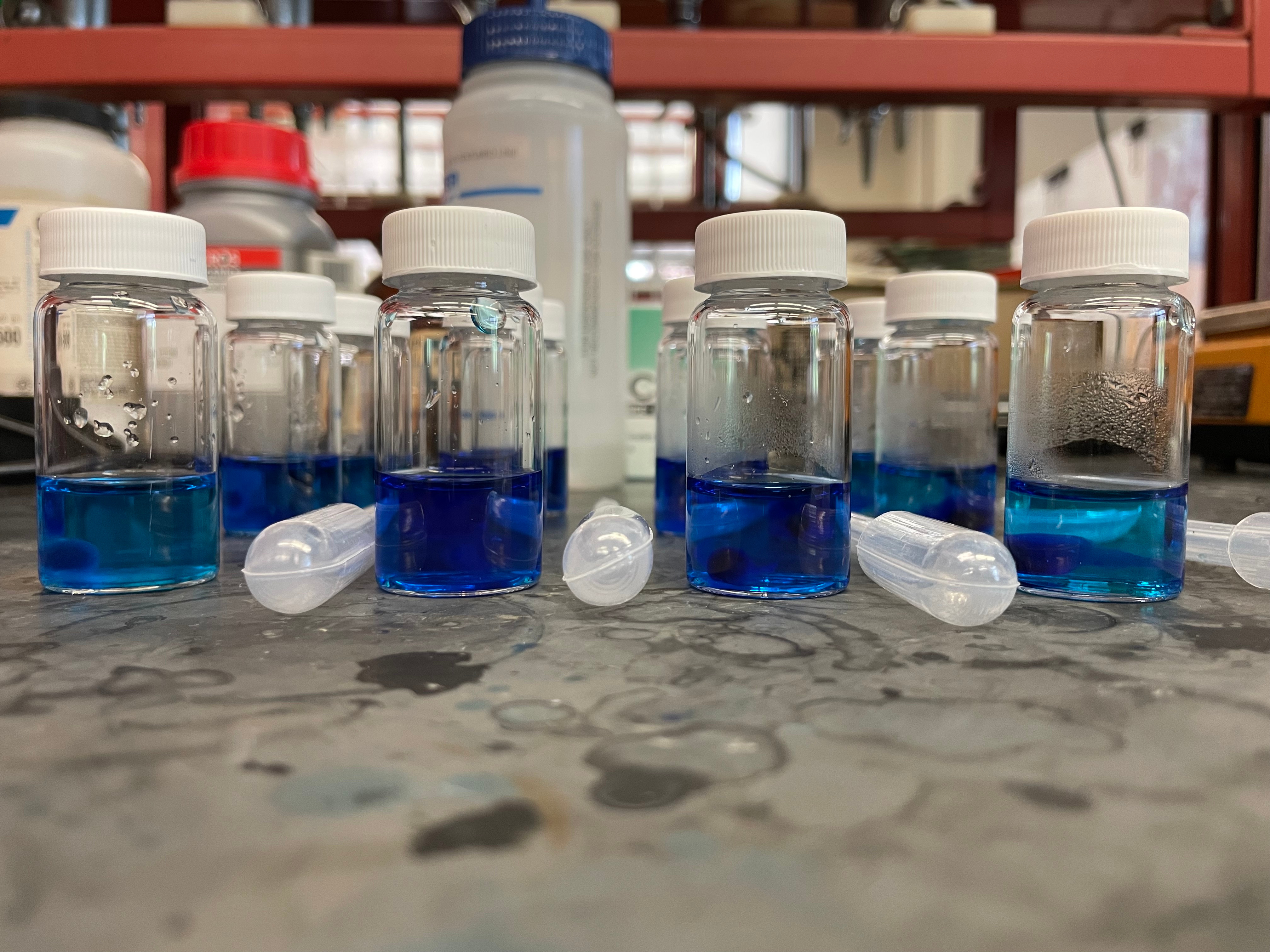 2% Trilayer Beads after 24 hours in respective solutions 2% Trilayer Beads after 24 hours in respective solutions