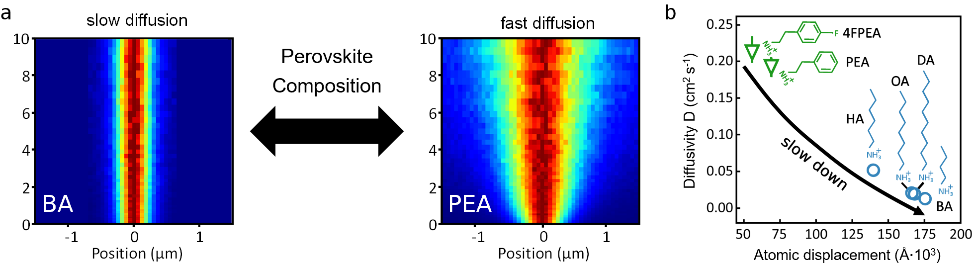 The speed of diffusion (diffusivity D) changes for different organic spacers in 2D perovskites