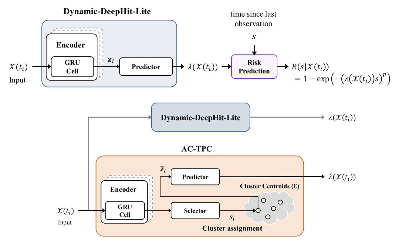 Block diagram of the model