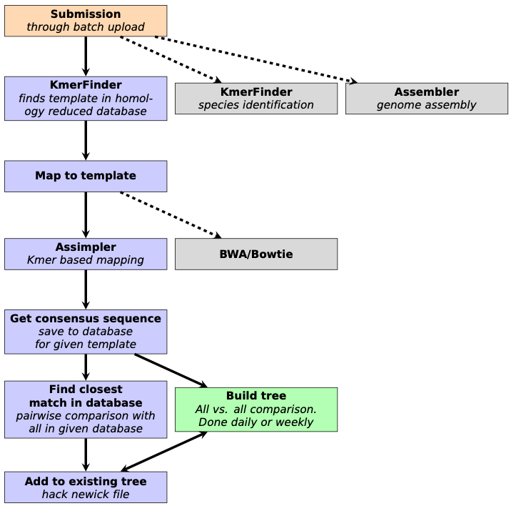 Workflow from an early stage of development