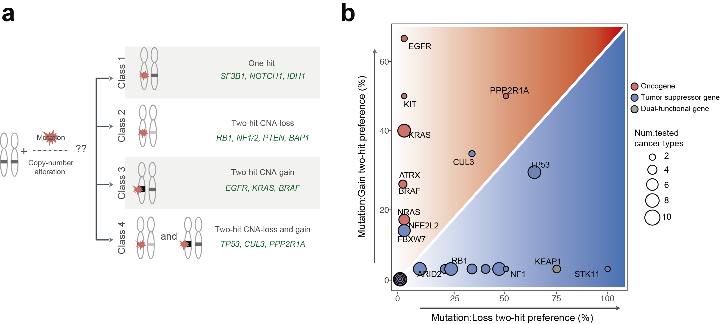 Higher order genetic interactions switch cancer genes from two-hit