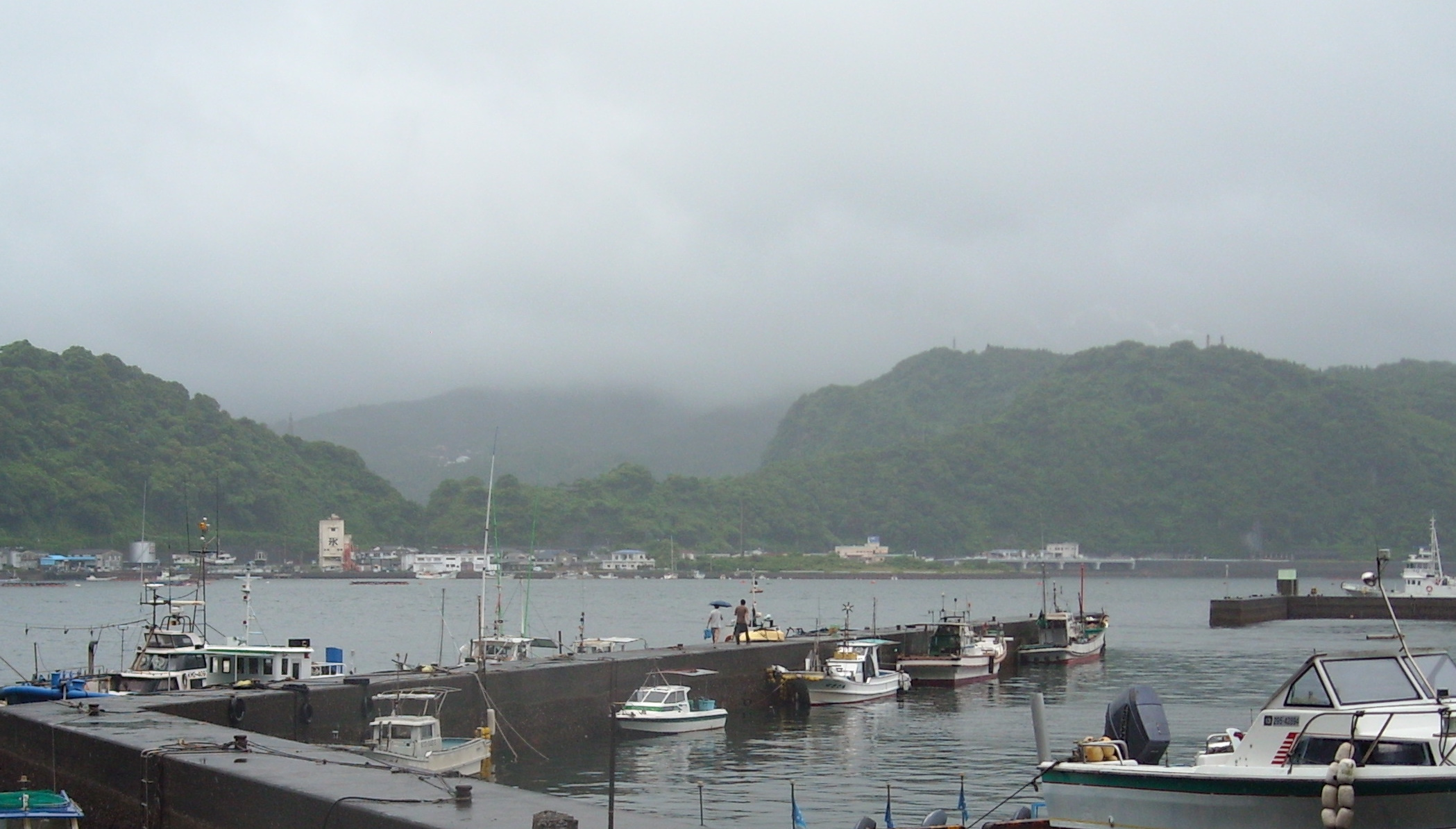 Ryoma Kamikawa and Takashi Shiratori collecting samples in Yamakawa port, Kagoshima, Japan
