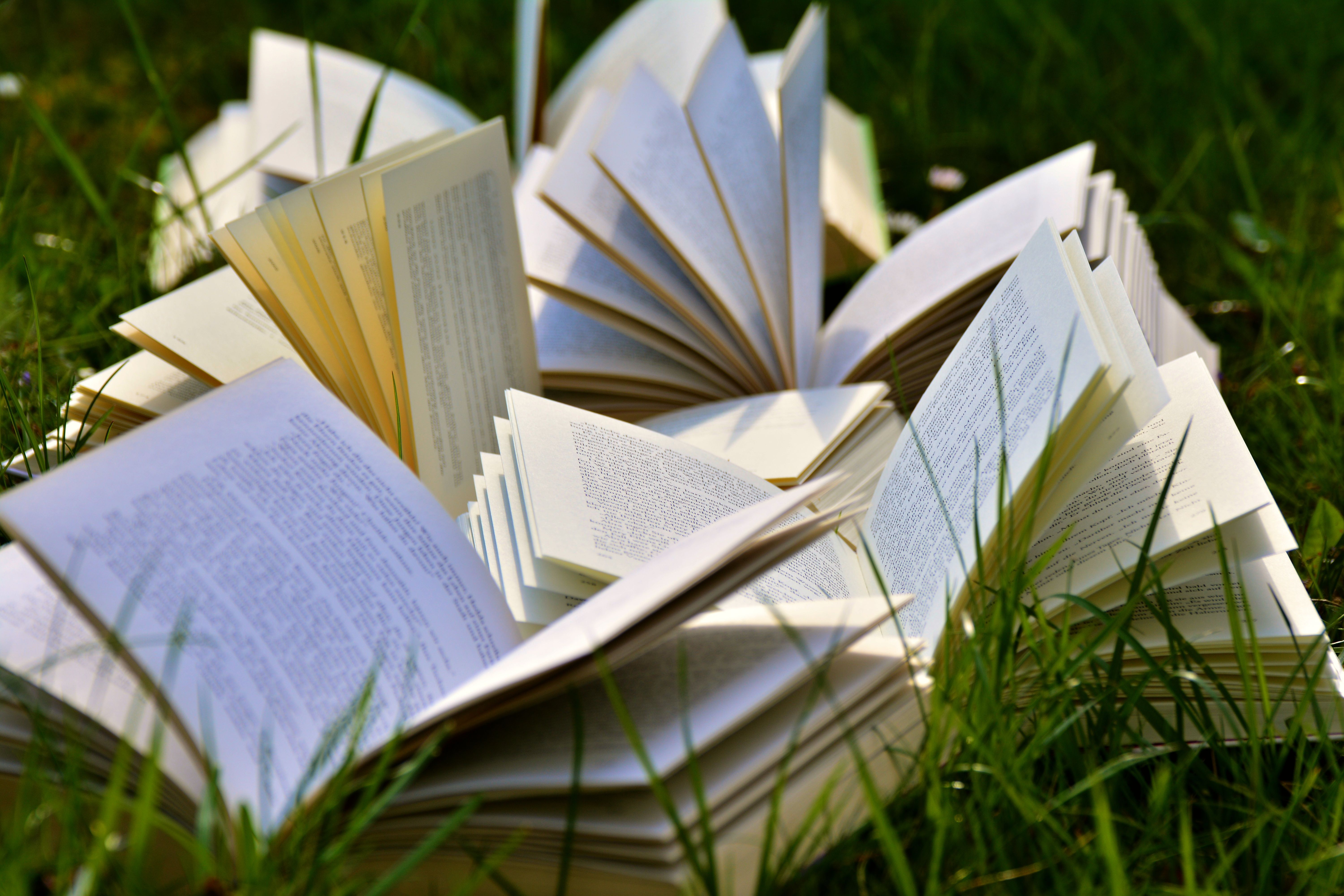 An artistic arrangement of open books in a grassy field. Photo by Pixabay from Pexels: https://www.pexels.com/photo/open-books-on-grass-field-415078/.