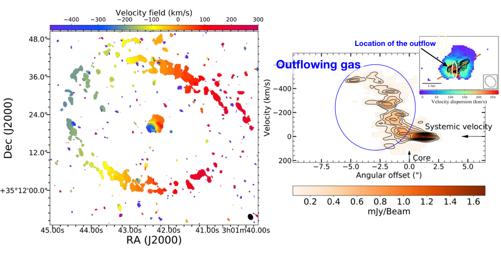 Distribution and kinematics of molecular gas being hit by the jets