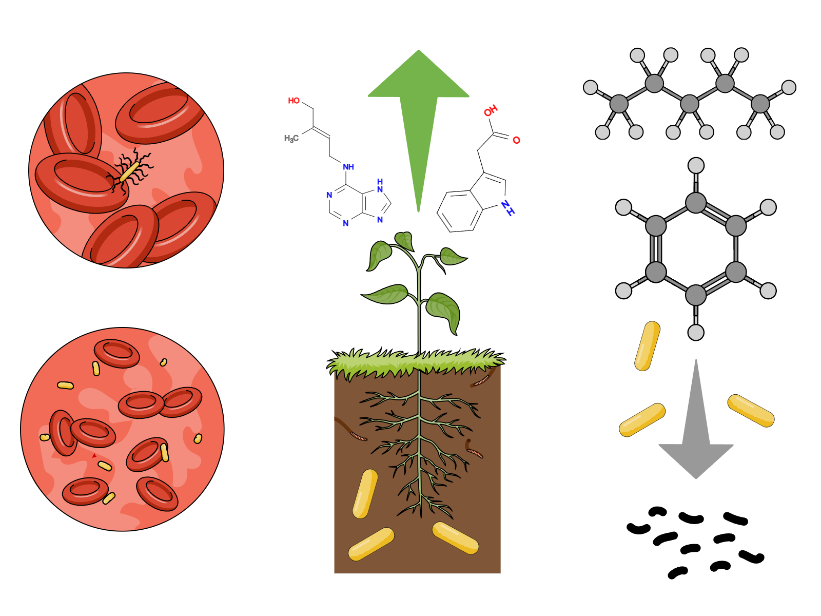 Collective ecological portrait of Cif carriers
