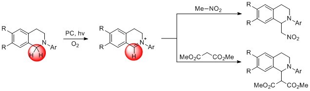 Functionalization of N-aryltetrahydroisoquinolines
