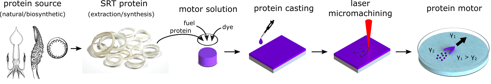 Fabrication of protein-based self-propelled motors
