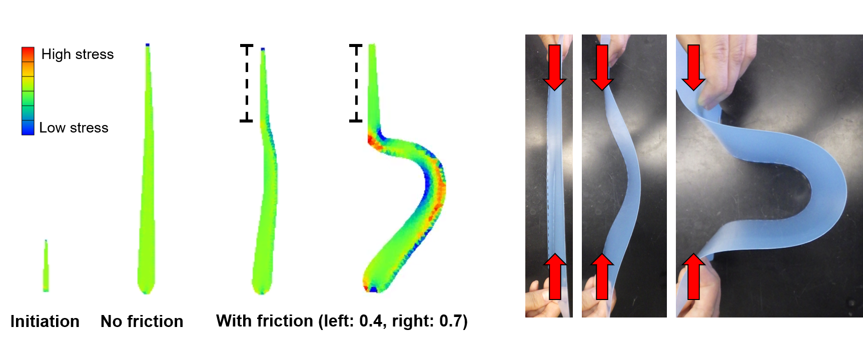 Mathematical modelling