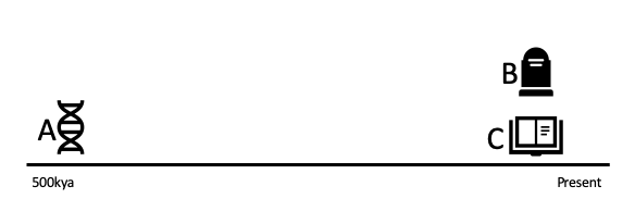 Figure 1: Diagrammatic Timeline