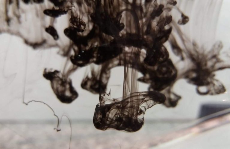 A close up shot of an ink-tree created by the Brazilian team.  